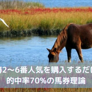 メイクデビュー中京 ザラタン 好ましく 現地的中単勝馬券＋他