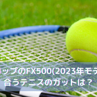 tennis-dunlop-fx500-2023-gut-