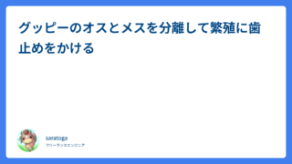 グッピーのオスとメスを分離して繁殖に歯止めをかける