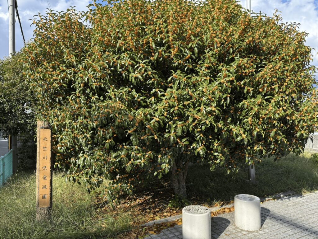 【2025年】豊中市のサイクルスタンプラリーのオススメサイクリングコース