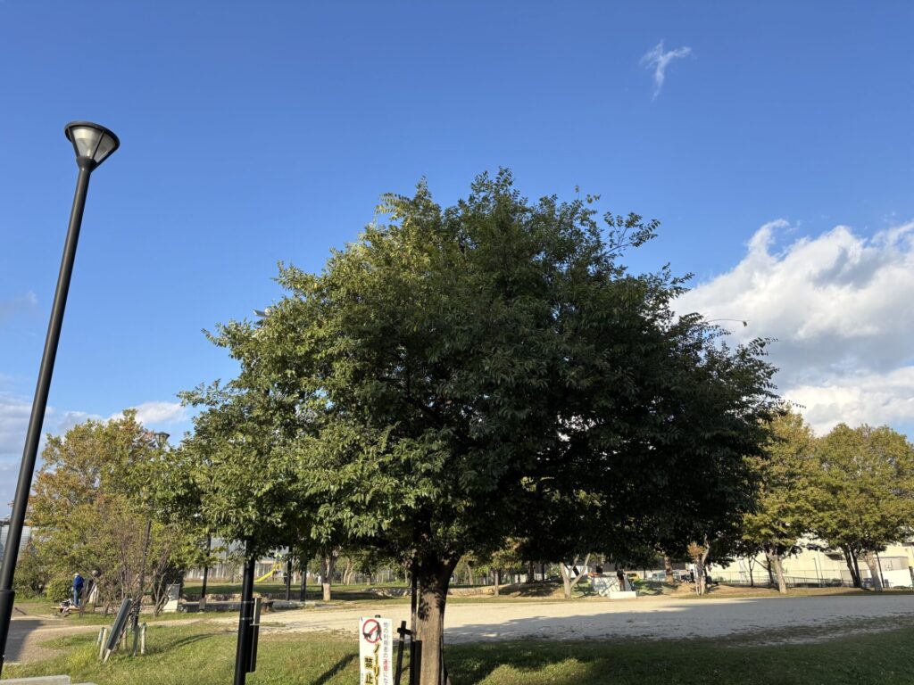 【2025年】豊中市のサイクルスタンプラリーのオススメサイクリングコース