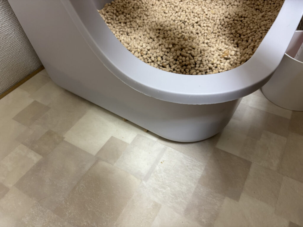 スーパーウッディー大粒に替えた後のトイレ周辺。チップの散らばりがない